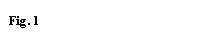Textfeld: Fig. 2